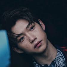 Pin By Clarissa On Pleasing Felix Stray Kids Freckles Stray