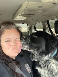 Where to find a healthy solid white male Johnson breed American Bulldog in  NW Louisiana?