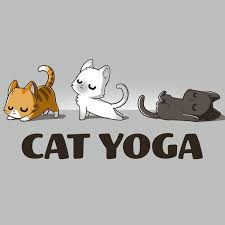 Camiseta De Yoga Para Gato Teeturtle Gatos Tiernos Cat Yoga Cute Cat Drawing Cute Animal Drawings