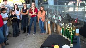 Southwest Florida Online News: February 2011