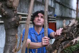 El cantante y saxofonista willy crook sufrió un acv ayer martes 8. Stiytmqo 08qxm