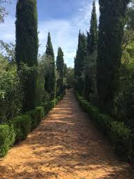 Résultat de recherche d'images pour "images jardin mediterraneen albarda"
