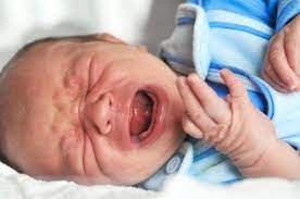 Worin unterscheidet sich ihr programm zu anderen büchern? Warum Man Babys Eben Nicht Schreien Lassen Und Ihnen Stattdessen Schnell Helfen Sollte Vaterfreuden De Die Seite Fur Vater
