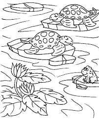 Customize the letters by coloring with markers or pencils. Sea Turtle In A Ponds With A Frog Coloring Page Download Print Online Coloring Pages For Free Color Nimbus