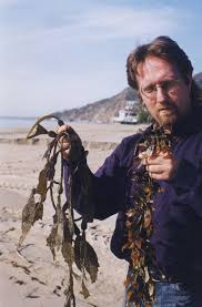 Guide To Edible Seaweed Real Foods Mother Earth News Edible Seaweed Seaweed Mother Earth News