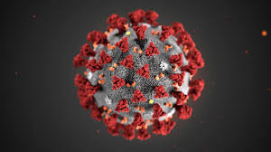 Resultado de imagen de coronavirus