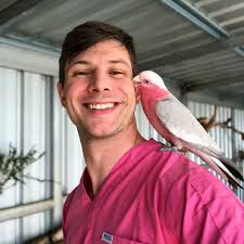 Joe (@dr.ben_joe) • Instagram photos and videos