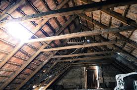 My wife judy getting ready to vacuum bat droppings in an attic! I Have Bats In My Loft Or Attic What Can I Do Youngs Pest Control