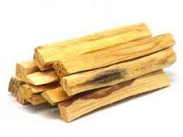 Palo Santo Wood Should You Burn This Holy Wood Palo Santo Wood Palo Santo Magical Herbs