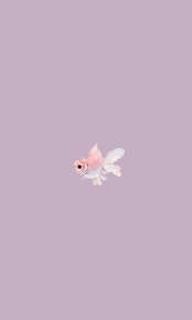 Wallpaper Peixe Fish Wallpaper Iphone Cute Iphone Background Wallpaper Aesthetic Iphone Wallpaper