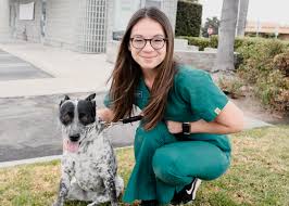 For general information, questions, appointment requests, call us at: South Orange County Animal Hospital Our Team