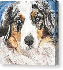 Browse our trending collection for custom pet portraits and canvas. Custom Dog Portrait Australian Shepherd 8 X 8 Stretched Canvas Or Mounted Canvas Painting Combination Lifepharmafze Com