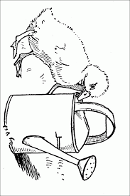 The spruce / ashley deleon nicole these free pumpkin coloring pages will be sna. Baby Duck Coloring Pages Coloring Home