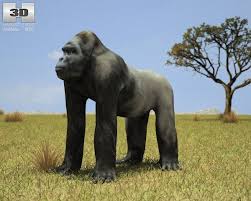 3d Model Gorilla Troglodytes Gorilla C4d Obj 3ds Fbx Ma Lwo 79479 Animals African Animals Gorilla