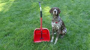 Pet waste removal near me. Blaze S Pet Waste Removal Llc We Re 1 In The 2 Business Home Facebook