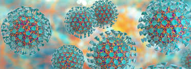 The following graphs show the evolution of the pandemic starting from 2 march 2020, the day the first cases were confirmed in the country. Gebardensprache Dgs
