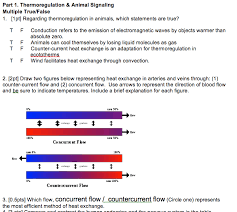 Wk8-L13-External Respiration Flashcards | Quizlet