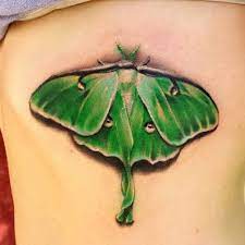 Just finished up this luna moth. #tattoo #realism #color #moth | Luna moth  tattoo, Moth tattoo, Bug tattoo