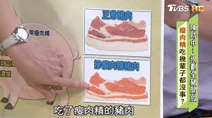 Lean meat powder, controversial animal feed which promotes growth of lean meat on domestic animals. é¿åç¦èç²¾è±¬è åå£« éäº é¨ä½è¼å®å¨ ä½éèèä¸åæ¬å¨å§ å¥åº·2 0