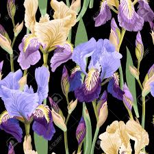 We did not find results for: Floral Pattern With Iris Flowers Royalty Free Cliparts Vectors And Stock Illustration Image 80227286