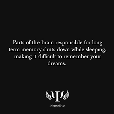 Dreams Psychology Facts Dream Meanings Funny Quotes
