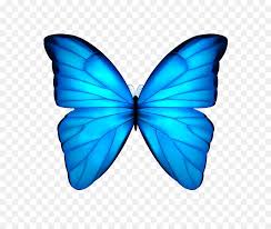 May be used to represent a moth and ideas of beauty and happiness. Monarch Butterfly
