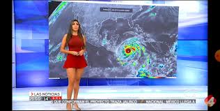 Watch Susy Almeida 2020 - Tv, Skirt, Hostess Porn - SpankBang