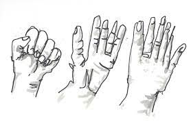 We did not find results for: Blind Contour Drawing Wikipedia