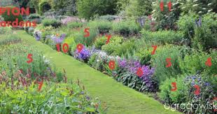 Galeria Zdjec Jak Zalozyc Angielska Rabate Ogrodowisko Plants