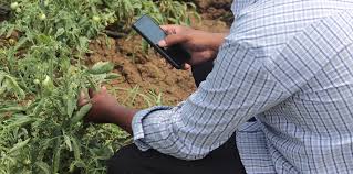 Indian cotton scenario 3.1 indian cotton production 3.2 indian cotton export and import trade flow. Advanced Ai Is Reinventing How Farmers Grow Your Food Ensia