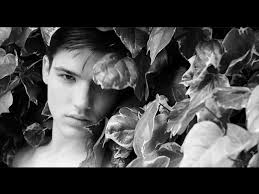 Those Last Days Of Summer