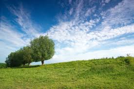 Log in to your paysimple account. Paysage Simple