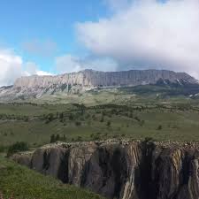 Image result for Struthiola montana