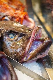 This is a bony type of fish that has a flesh growth from the many would describe the anglerfish as one of the bizarre looking creatures out there. Yes You Can Eat Anglerfish Here Is How The Japanese Do It Kokoro Media
