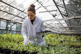 Golden Valley Hydroponics - Transform your gardening game with Golden  Valley Hydroponics, Inc. in Yuba City, CA. Our hydroponic gardens are the  perfect solution for sustainable and efficient growing. Visit  goldenvalleyhydroponics.com or