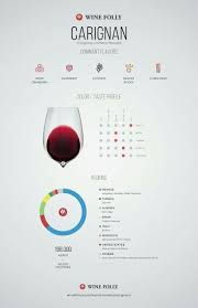 Carignan Grape And It S Flavors Infographic Infografia Minuman Makanan Dan Minuman Anggur