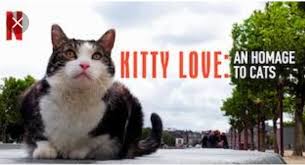 Read on for some hilarious trivia questions that will make your brain and your funny bone work overtime. Kitty Love An Homage To Cat Quiz Accurate Personality Test Trivia Ultimate Game Questions Answers Quizzcreator Com