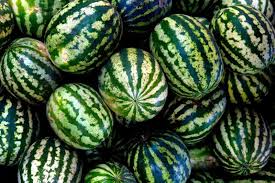 Check spelling or type a new query. Anguria 5 Errori Da Non Fare Dissapore