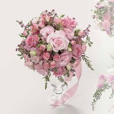 We did not find results for: Oberer S Flowers Inc Columbus Oh Partner