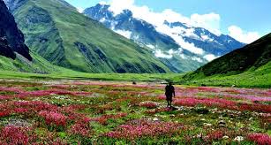 All information about valley of flowers trekking. Trek To The Amazing Valley Of Flowers By Valleyofflowersindia Medium