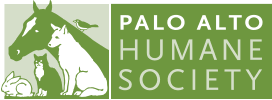 Palo alto animal services/pets in need. Home Palo Alto Humane Society
