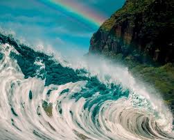 But we'll get to that in a moment. How To Move To Hawaii Reddit The Guide Ways
