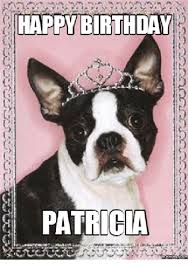 We did not find results for: Ppy Birthday Patricia Memesocom Patricia Meme On Me Me