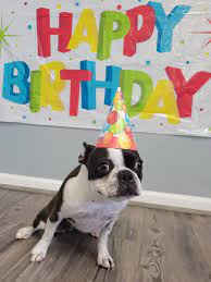 Must Love Dogs - We want to wish A Bigggg Happy Birthday... | Facebook
