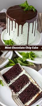 Today i am sharing a very easy recipe for chocolate chip cake with you. Mint Chocolate Chip Cake Chocolate Mint Cake Recipe Chocolate Chip Cake Mint Chocolate Cake