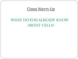 Cell structure & function ms. Lesson Overview 7 1 Life Is Cellular Ppt Download