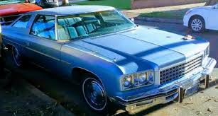 Image result for Light Blue 1976 GM