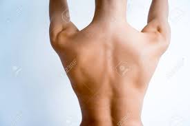 Check spelling or type a new query. Different Body Parts Of A Woman Back Leg Arm Stock Photo Picture And Royalty Free Image Image 92441774