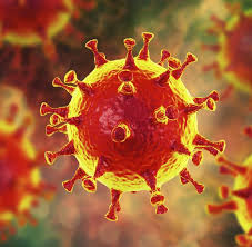 Bildergebnis für corona virus