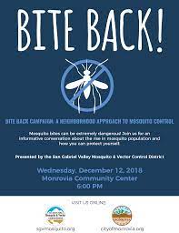 How do spider bites and mosquito bites differ? Bite Back A Neighborhood Approach To Mosquito Control Community Meeting Page With Banner And Content Boxes City Of Monrovia